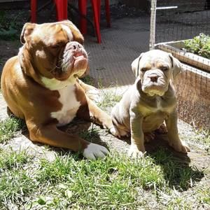 Meet your Posher, Julie